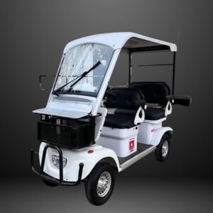 1000W 72V 20ah - S11 Mini Electric Golf Cart