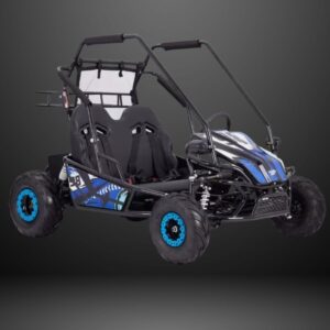 60V 2000W Twin Seater Electric Go Kart Full Suspension