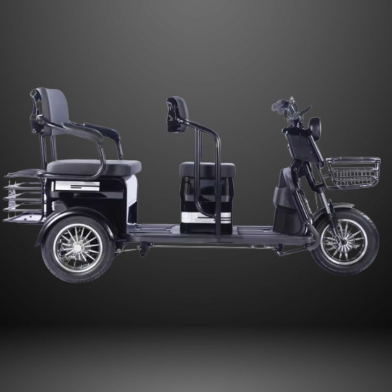 48V Electric Trike - Rickshow - Image 2