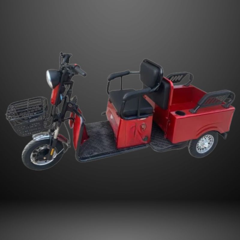 48V Electric Trike - Rickshow - Image 4