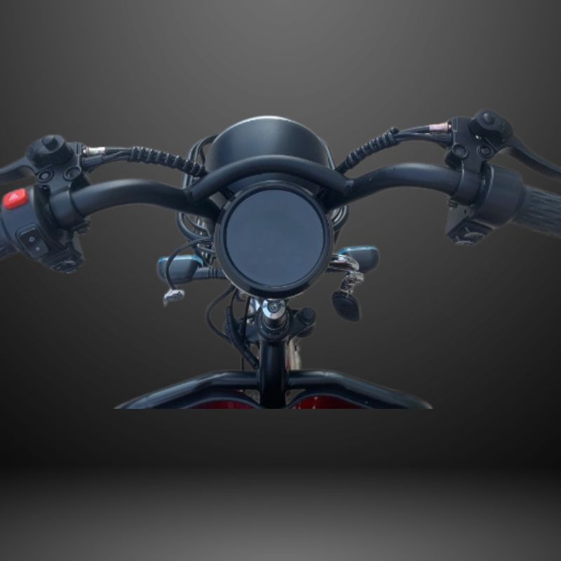 48V Electric Trike - Rickshow - Image 5