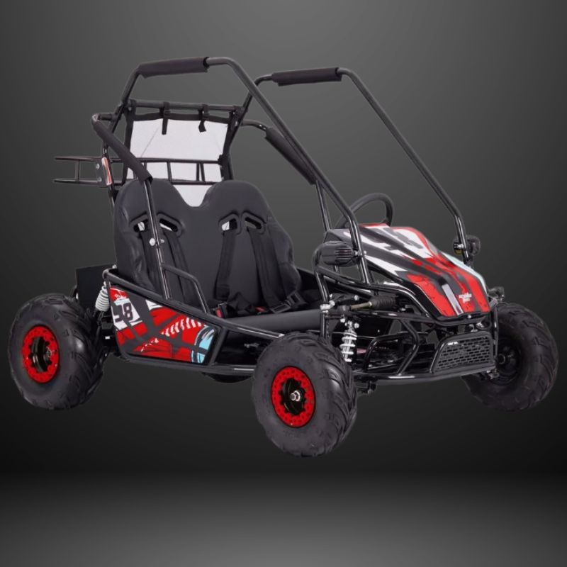 60V 2000W Twin Seater Electric Go Kart Full Suspension - Image 5