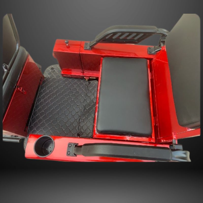 48V Electric Trike - Rickshow - Image 7