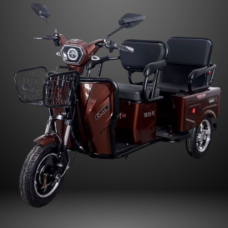 48V Electric Trike - Rickshow - Image 8